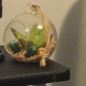 Meet your Posher, Jose